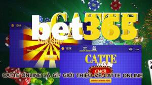 catte-online-la-gi-gioi-thieu-ve-catte-online